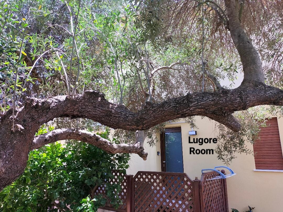 Img 697c9ba1e030c4 53150624