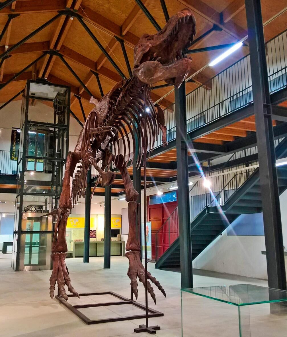 Museo Dei Paleoambienti Sulcitani “e.A. Martel”