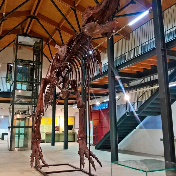 Museo Dei Paleoambienti Sulcitani “e.A. Martel”