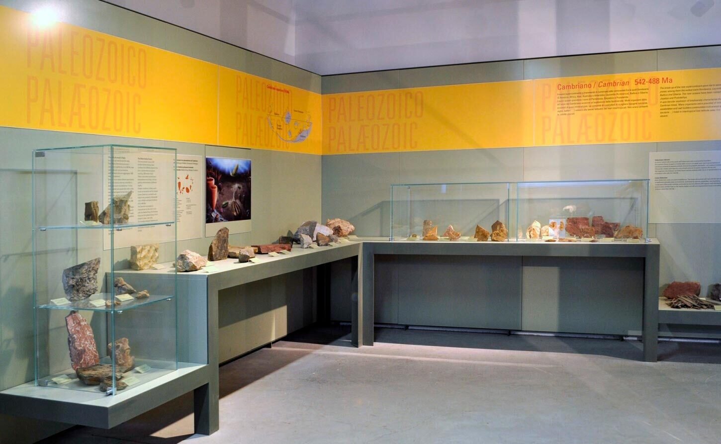 Img 69737e588f8673 19185753