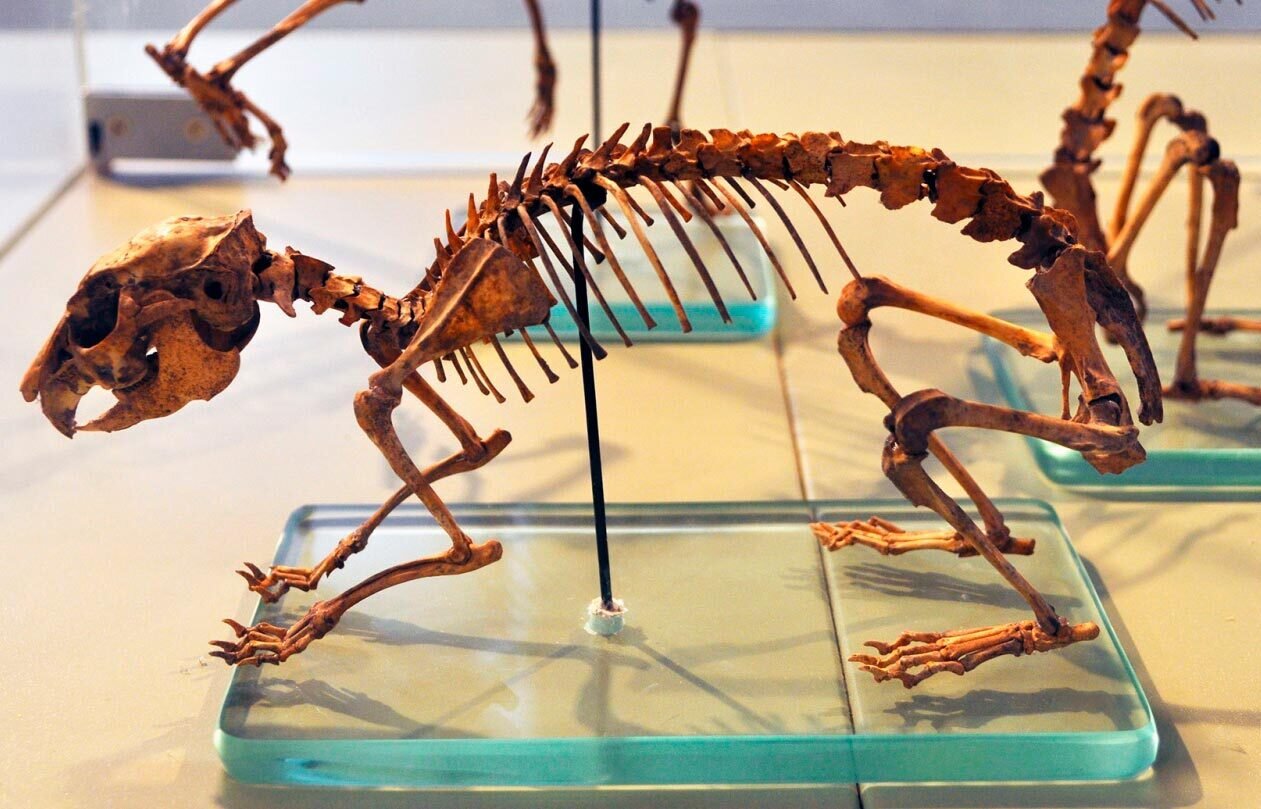 Img 69737e58ad60e5 35799199