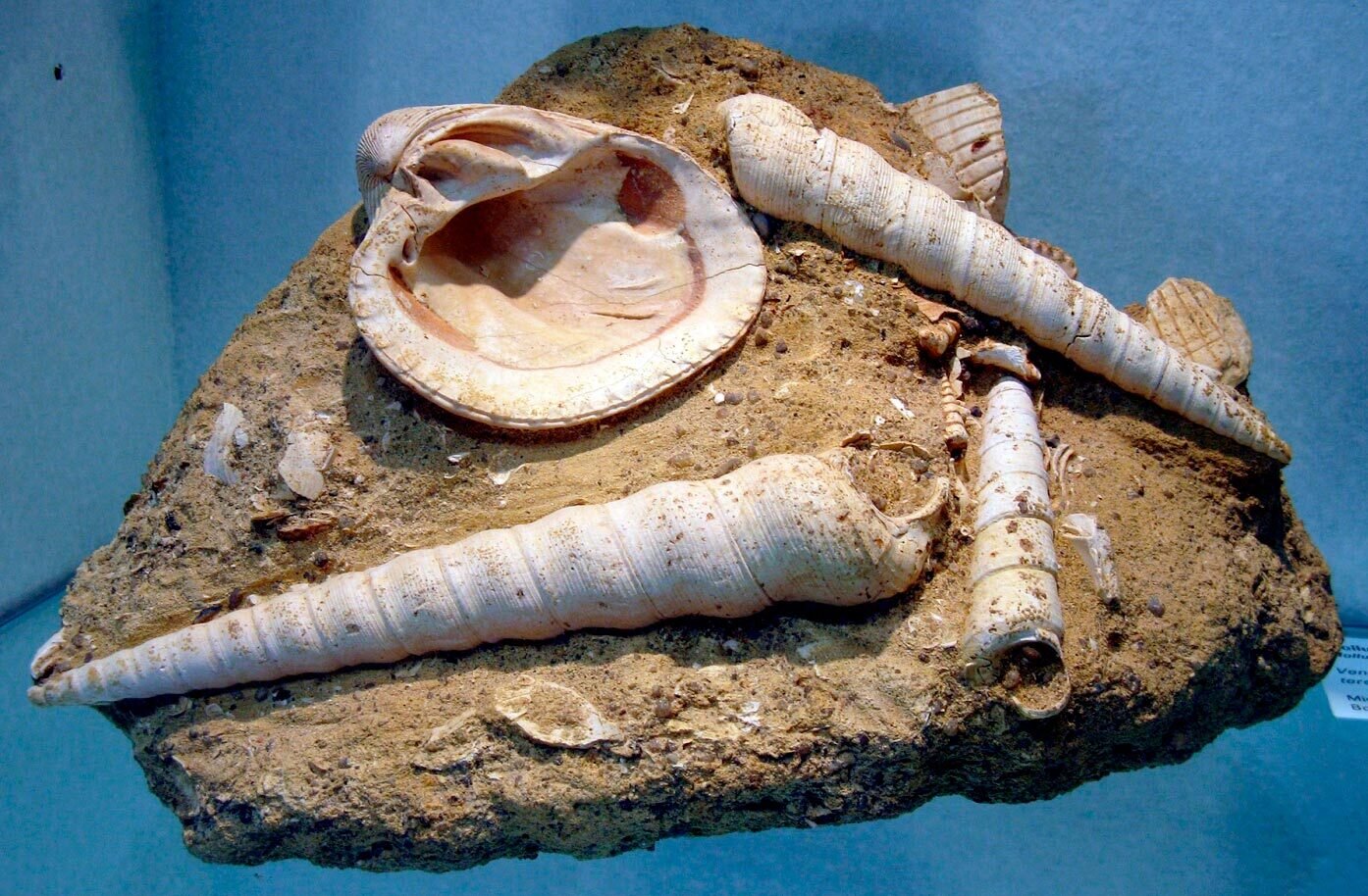 Img 69737e58d07df9 66323267