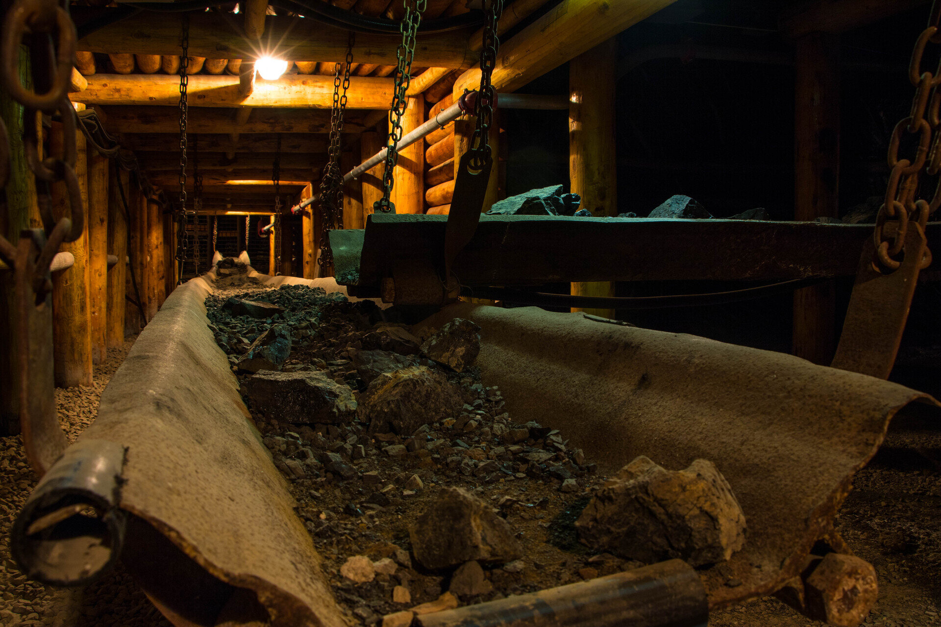 Img 699eee0f2ea4f3 55036503