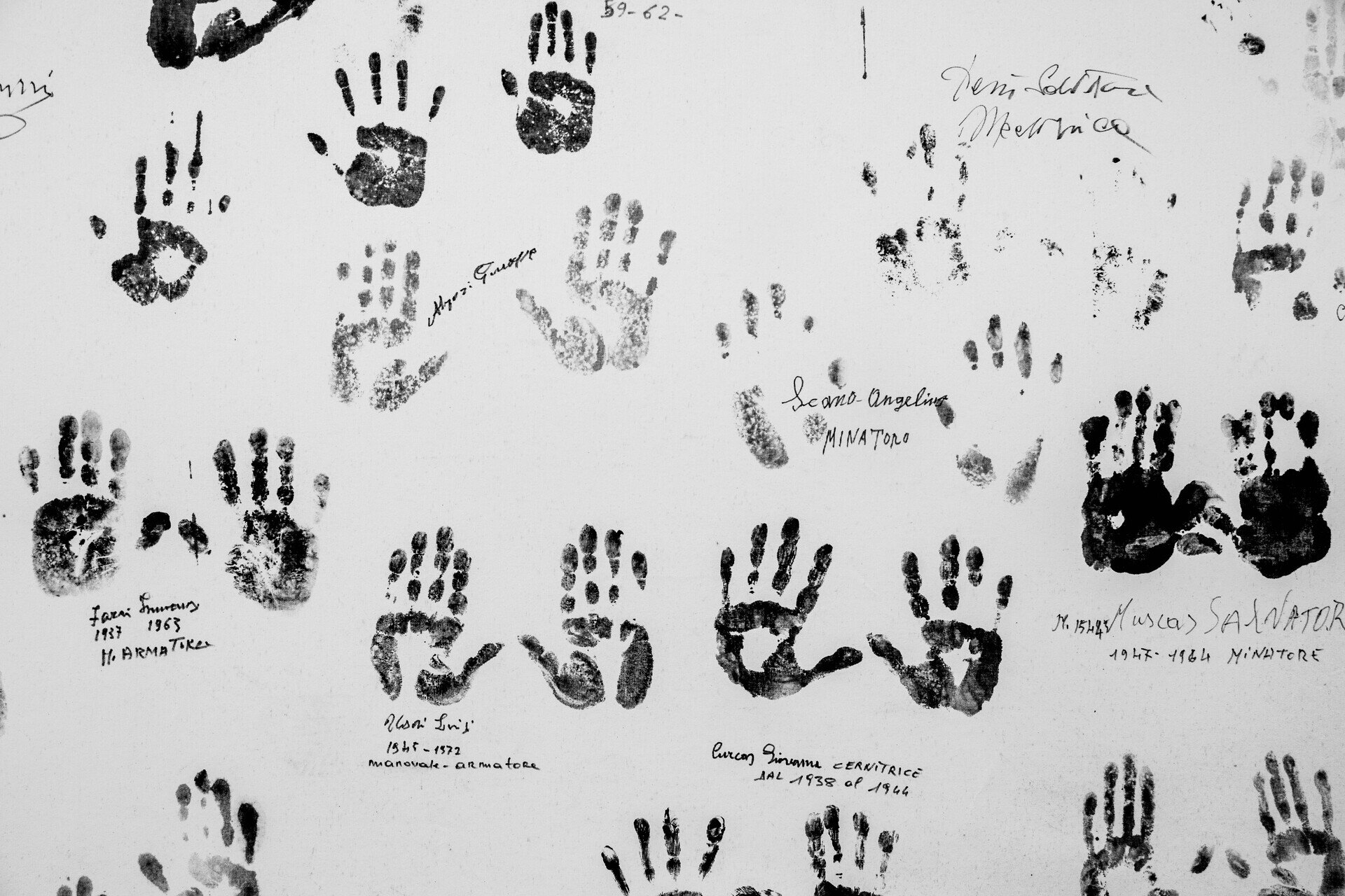 Img 699eee0f6fe871 74985539