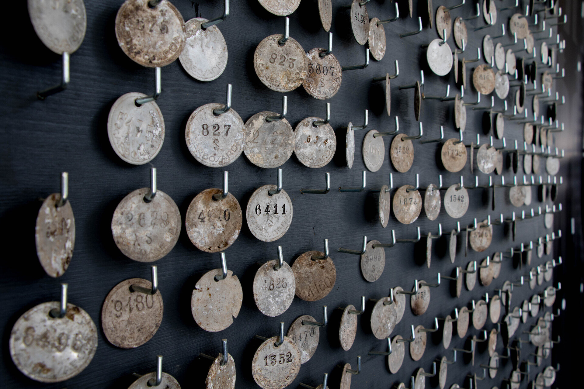 Img 699eee0fadafd7 75524890