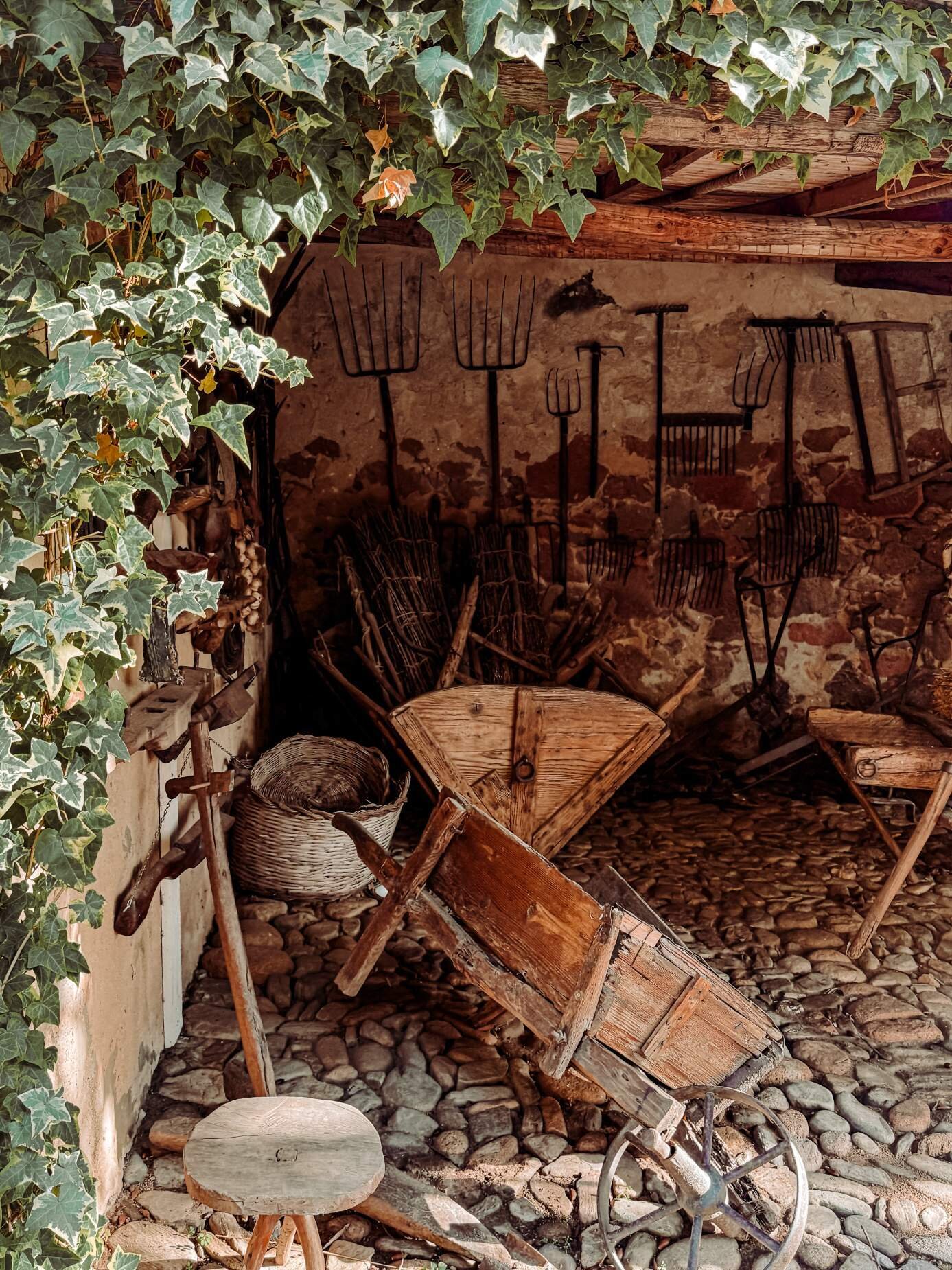 Img 69860dfc6aa6c3 46981996