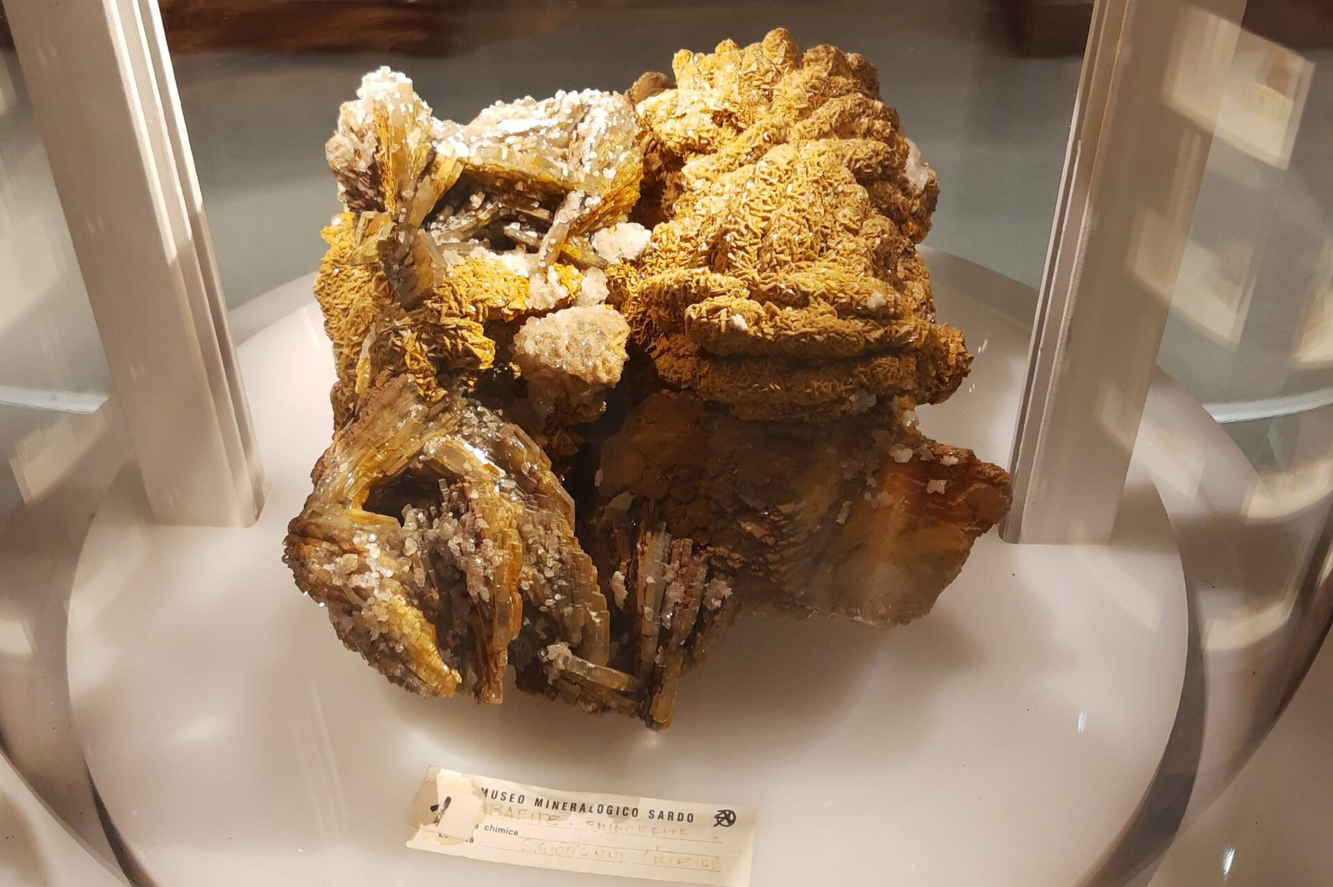 Img 697dd33c8a3f22 67393374