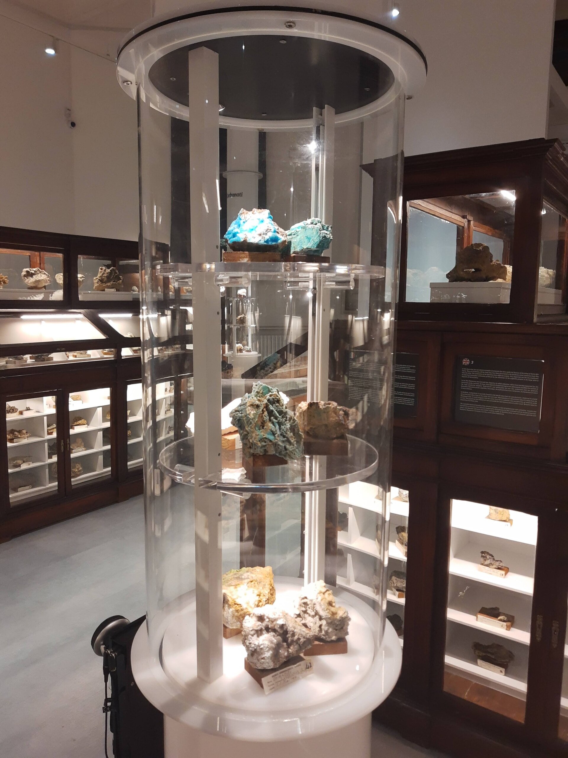 Img 697dd33cbe0d38 33031781