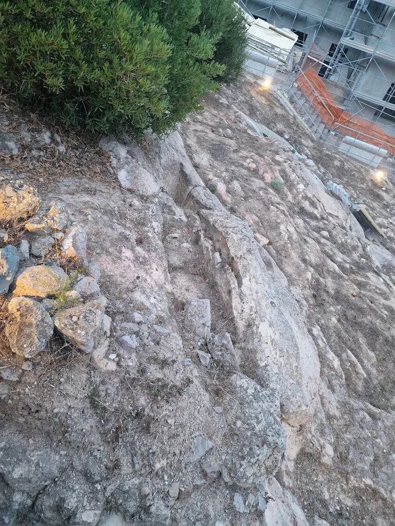 Img 69a96bfdf31068 47957651