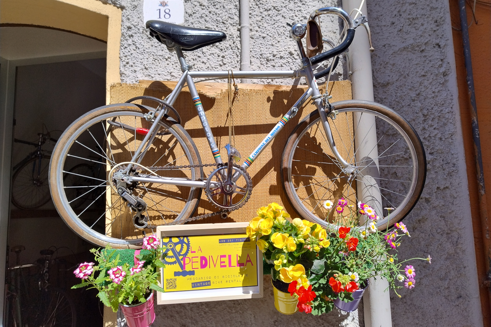 Gravel And Trekking Bike Rental | La Pedivella