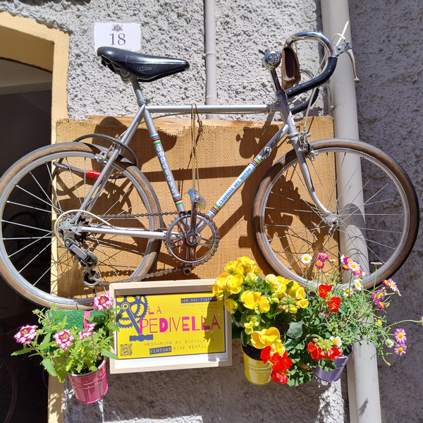 Vélo vintage suspendu avec fleurs colorées et panneau jaune sur mur gris