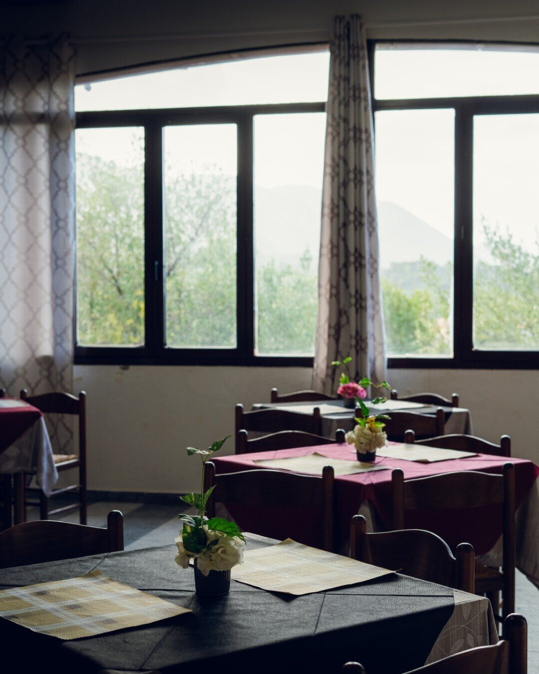 Img 699c1b4fc1f3f3 71484633