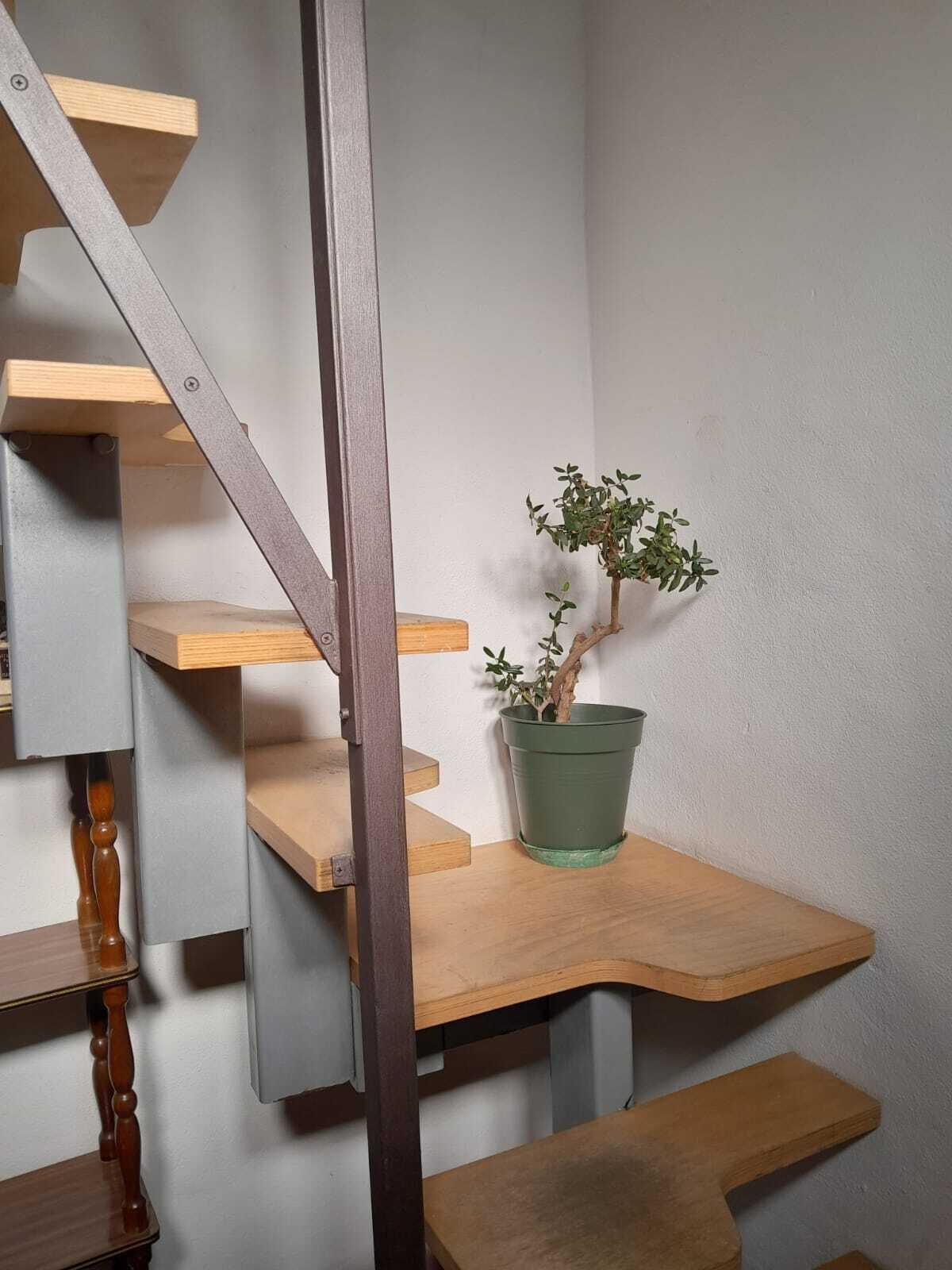 Img 6967ac4bd78f63 47978963