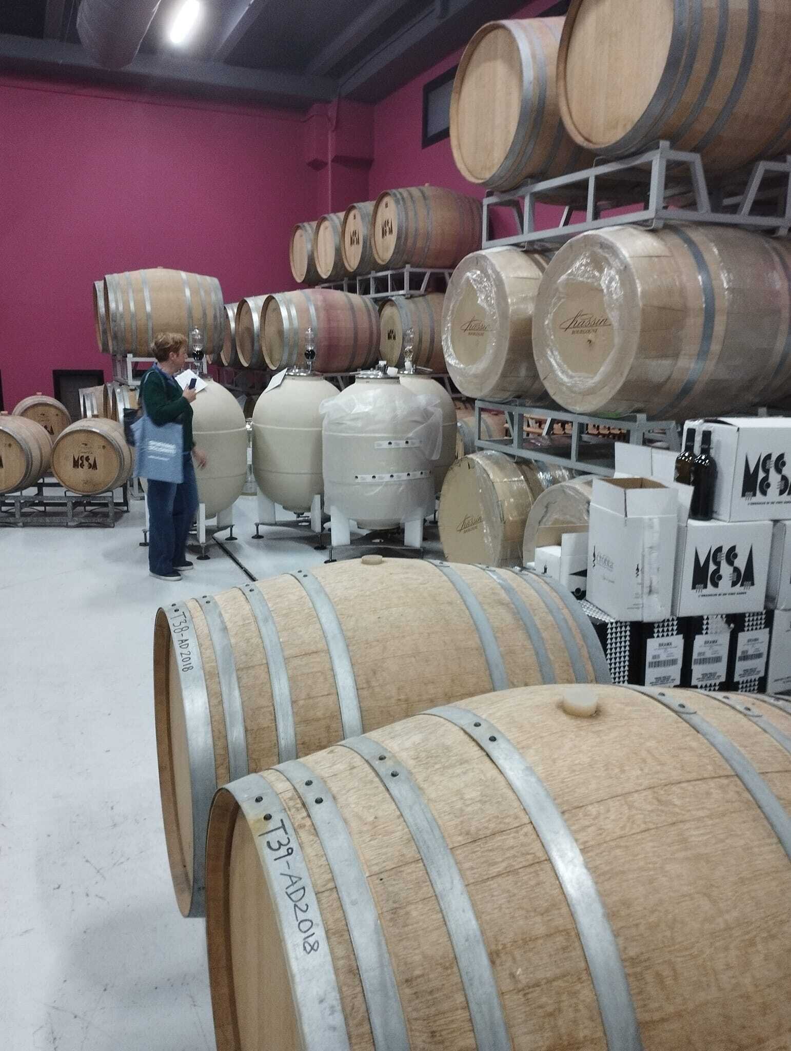 Img 69c5244fdfec32 62728941