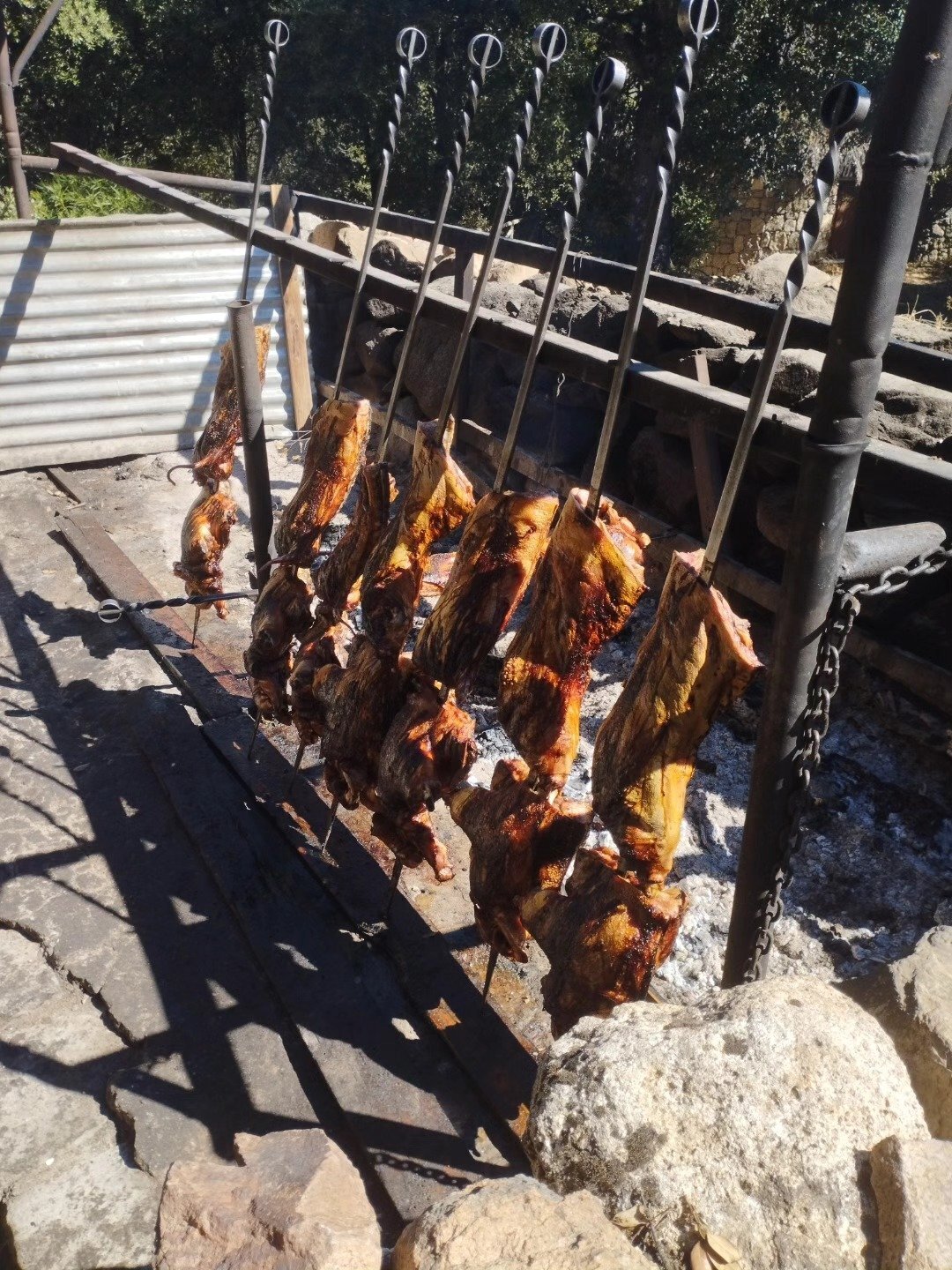 Img 69c52450896bb0 67495924