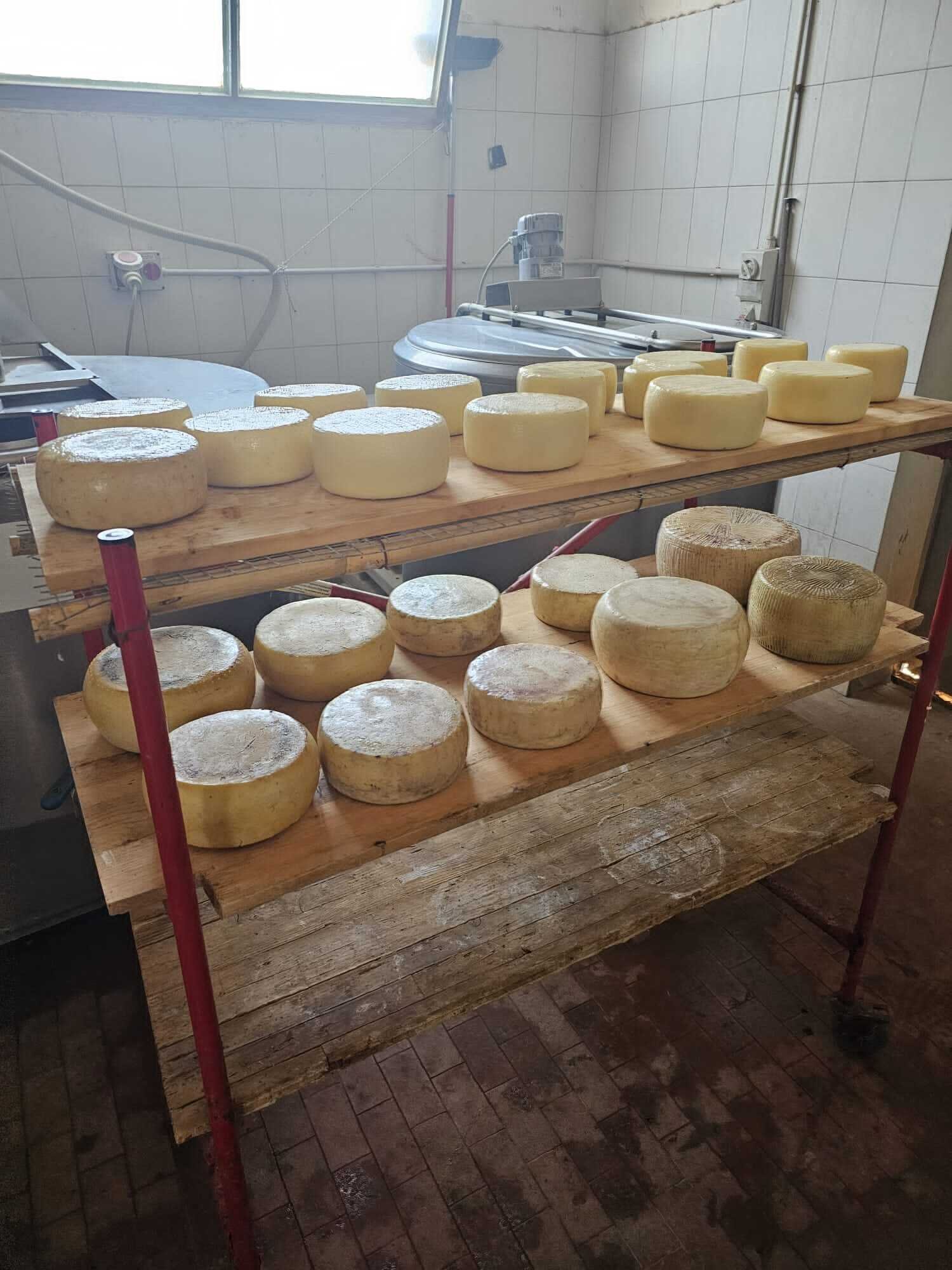 Img 69c524513a65e3 80141049