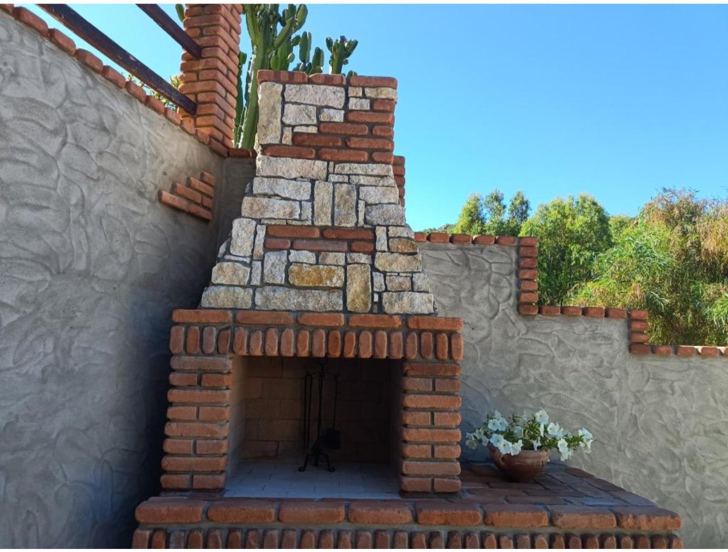 Img 69dfe2aac65a58 32919129