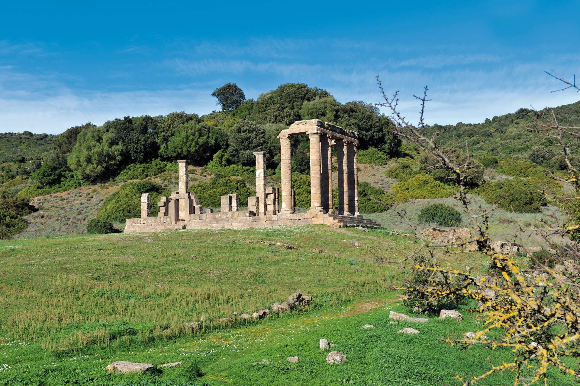 Rovine di un antico tempio con colonne in un paesaggio verde