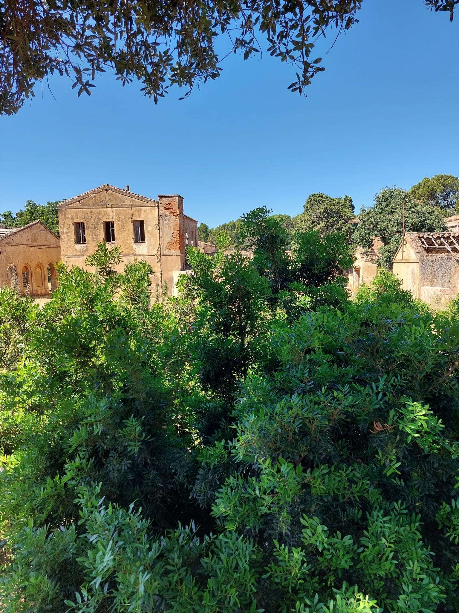 Img 69bbc87fb4cb38 58534395