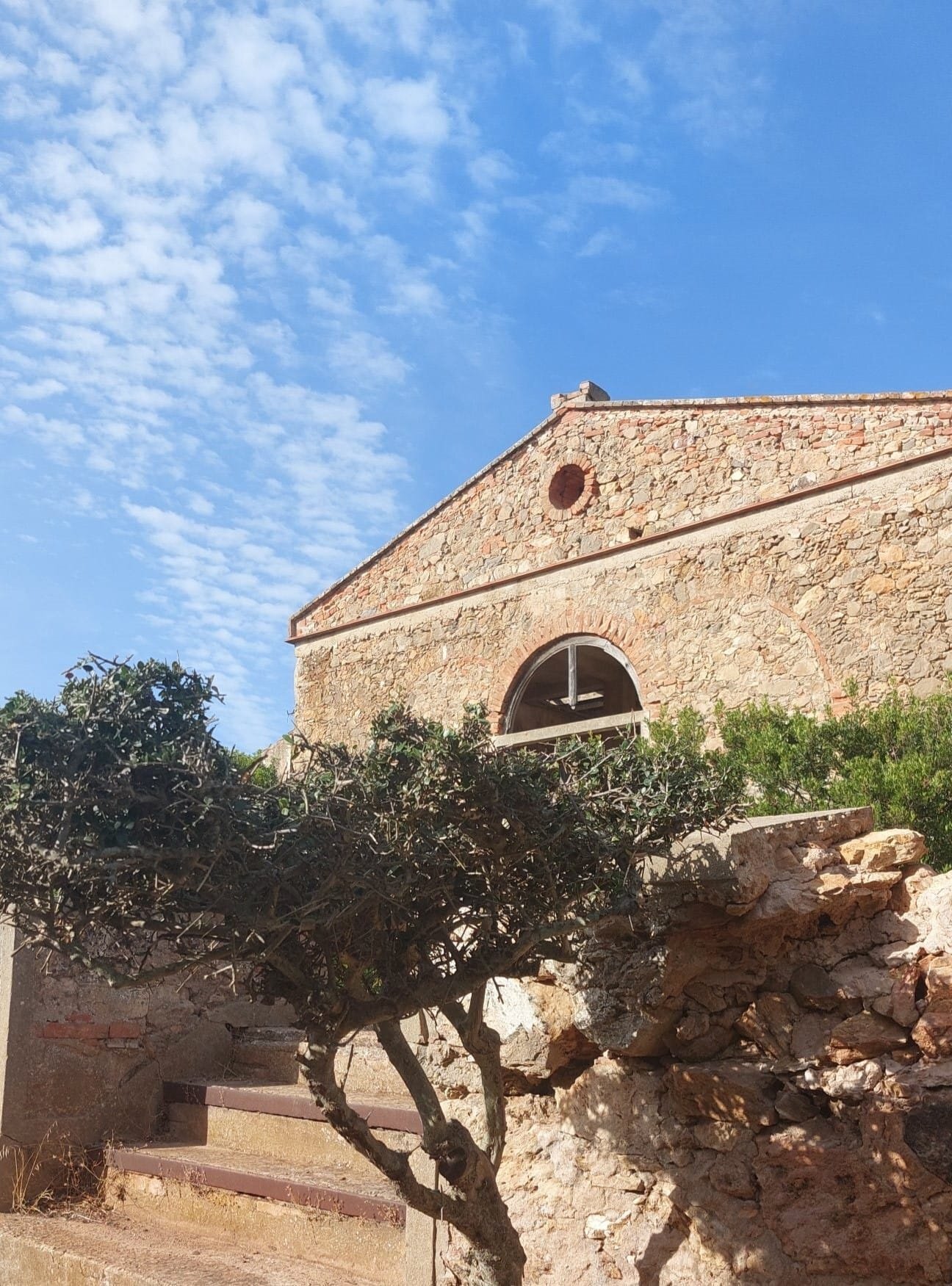 Img 69bbc880e32667 49835893