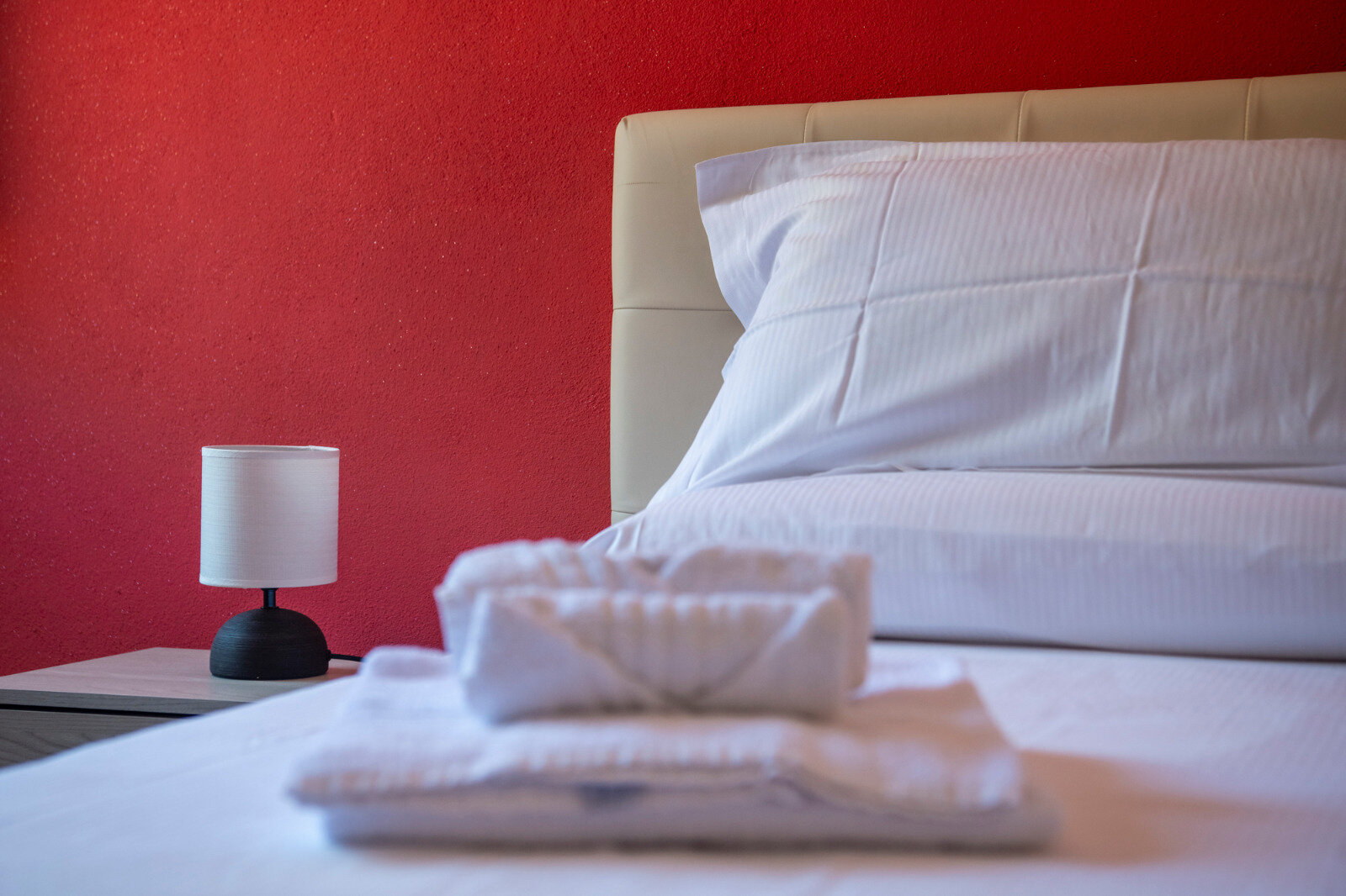 White Lion Surf & Mine Guesthouse